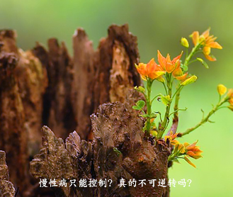 江汉区彭统涛中西医结合诊所鸣鹤分馆