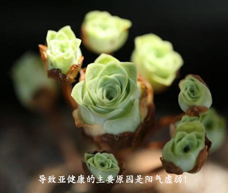 江汉区彭统涛中西医结合诊所胜山分馆